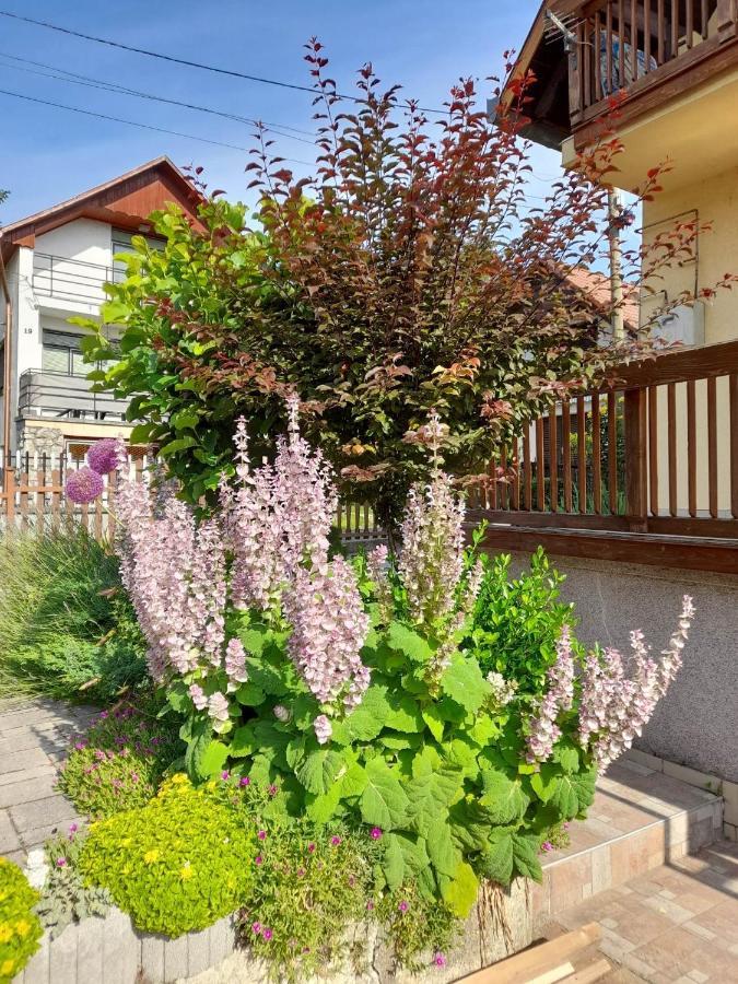 Harmonia Vendeghaz 100 Meterre Az Igali Gyogyfuerdotol Apartment Luaran gambar