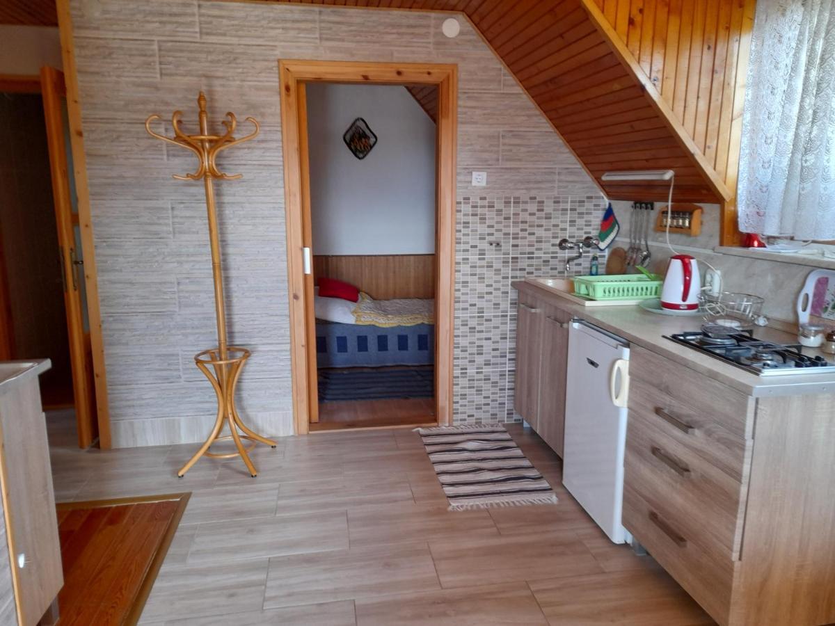 Harmonia Vendeghaz 100 Meterre Az Igali Gyogyfuerdotol Apartment Luaran gambar