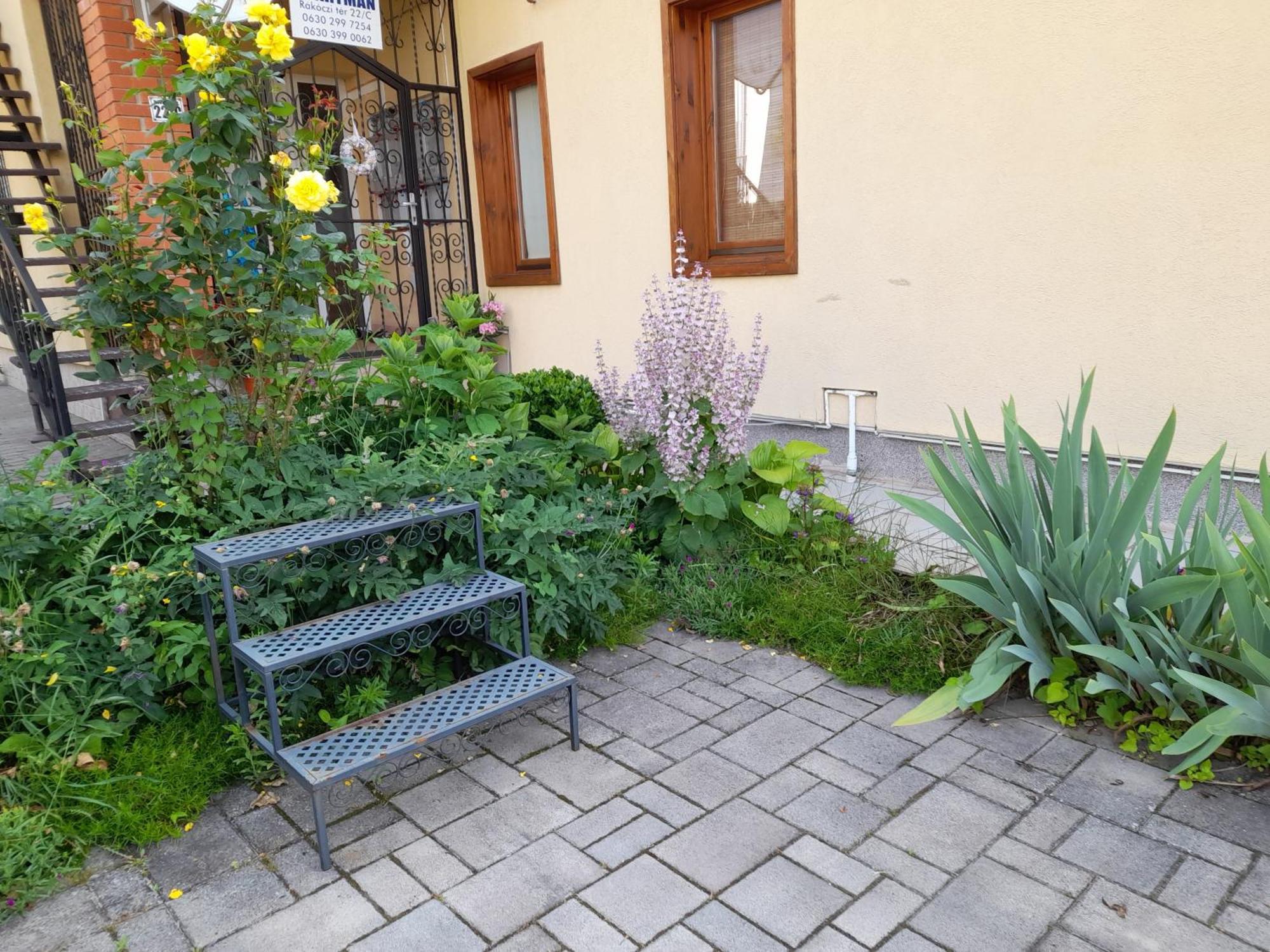 Harmonia Vendeghaz 100 Meterre Az Igali Gyogyfuerdotol Apartment Luaran gambar