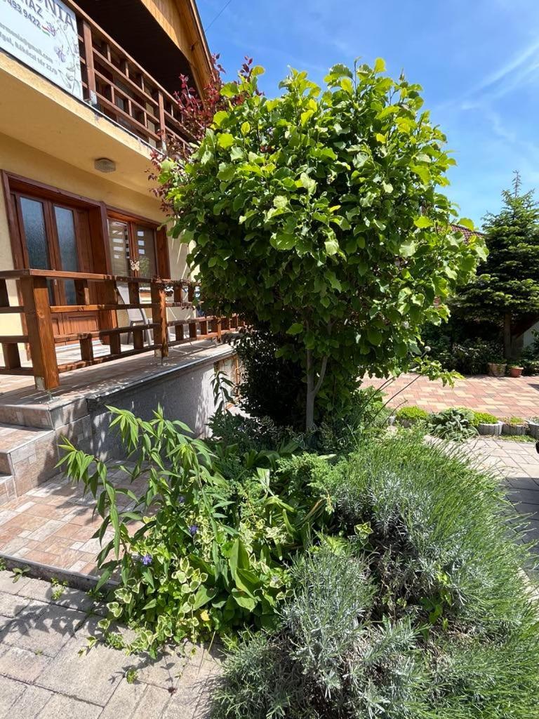 Harmonia Vendeghaz 100 Meterre Az Igali Gyogyfuerdotol Apartment Luaran gambar
